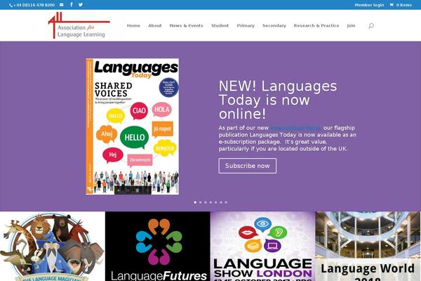 Divi Child theme site design template sample