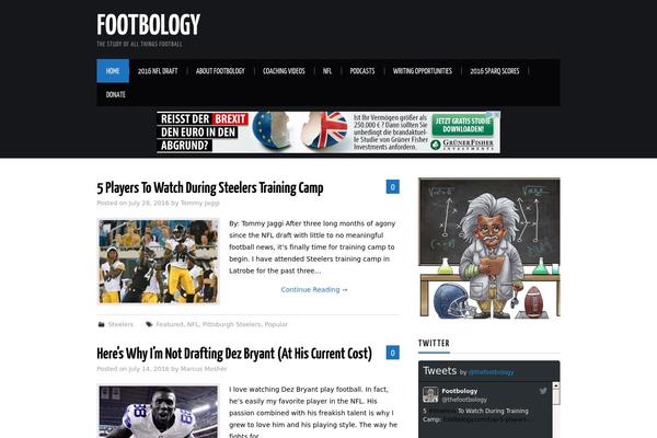 WP FanZone theme site design template sample