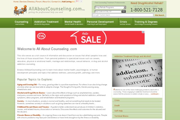 allabout theme websites examples