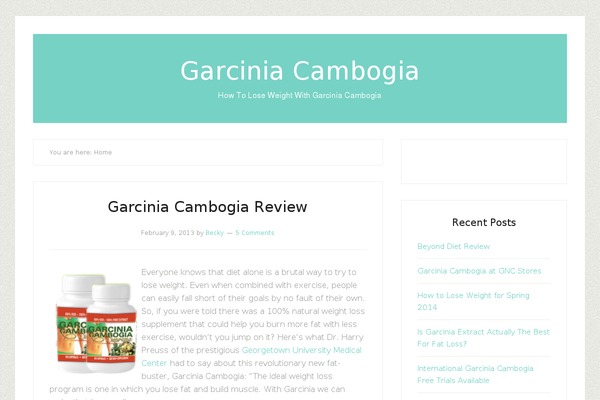 Lifestyle Pro theme site design template sample