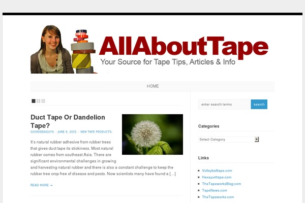 Wp-enlightened104 theme site design template sample