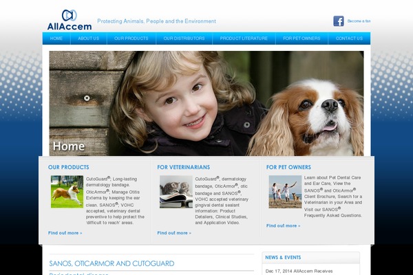 Wisebusiness theme site design template sample