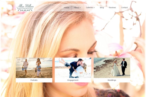 allanmilloraphotography.net site used Wp_glare5-v1.7.3