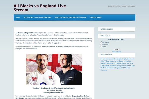 Newsspot theme site design template sample