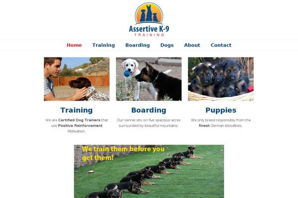 Total theme site design template sample