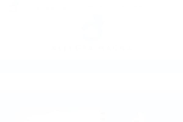 Site using Vamtam-love-it plugin
