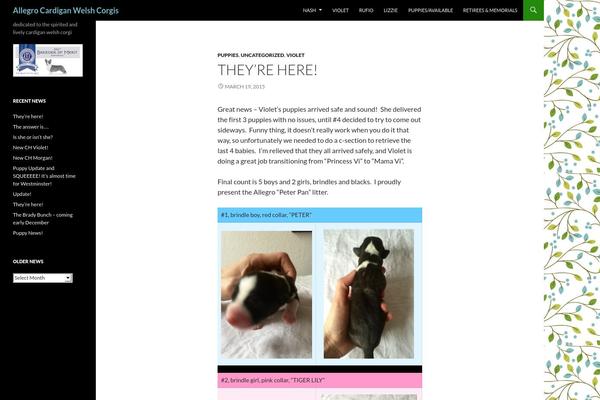 Twenty Fourteen theme site design template sample