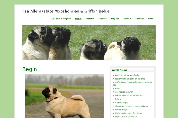 zeeCorporate theme site design template sample