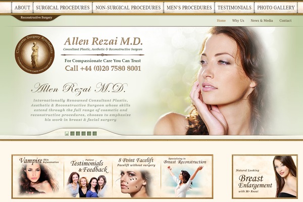 OneLife theme site design template sample