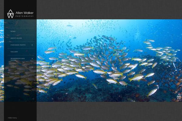 Widescreen theme site design template sample