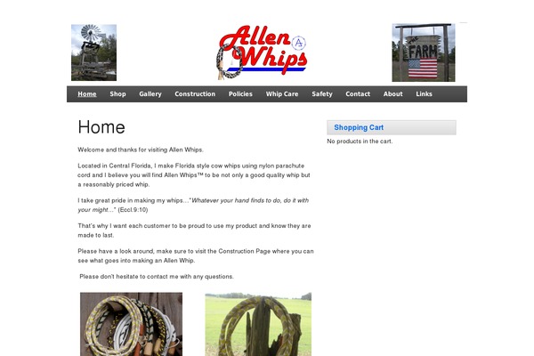 zeeDisplay theme site design template sample