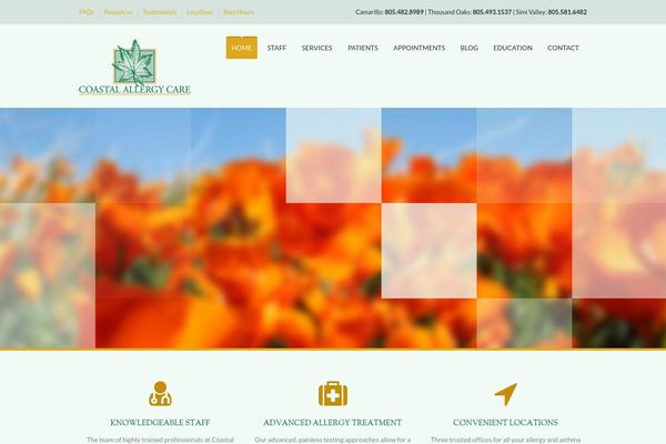 SoulMedic theme site design template sample