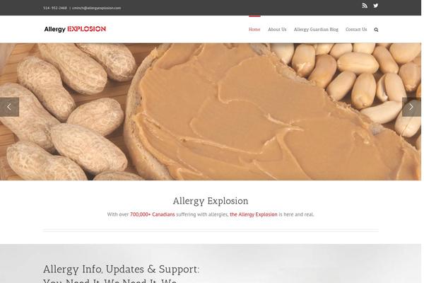 Avada theme site design template sample