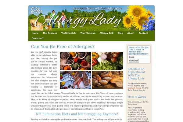 Freelance theme site design template sample