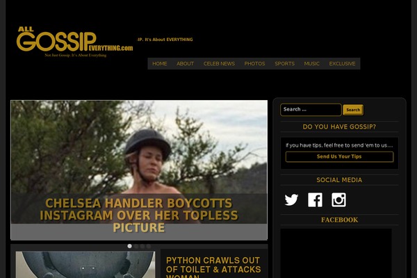 age theme websites examples