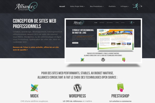 Rolex theme site design template sample