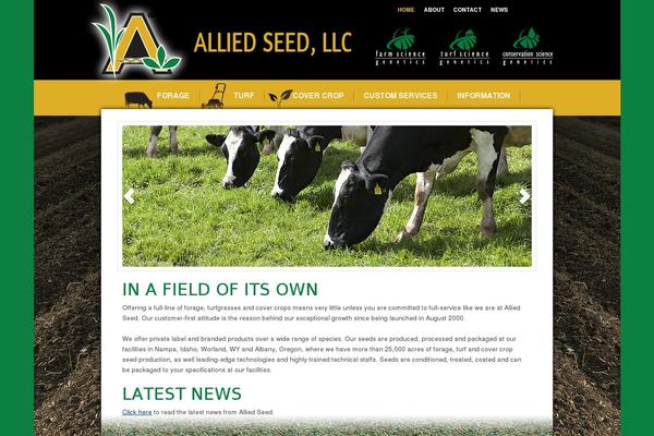 Avada theme site design template sample