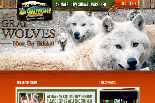 alligatoradventure.com site used Alligator-adventure-2021