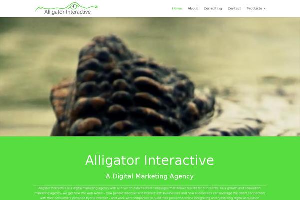 Divi Child theme site design template sample