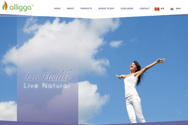 alligga.com site used Oceanplaza_woo_v2.1