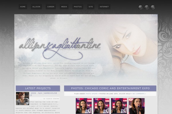 V4 theme site design template sample