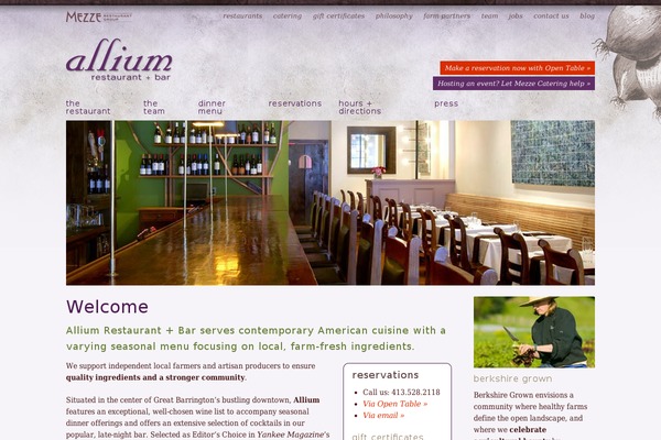 Allium theme site design template sample