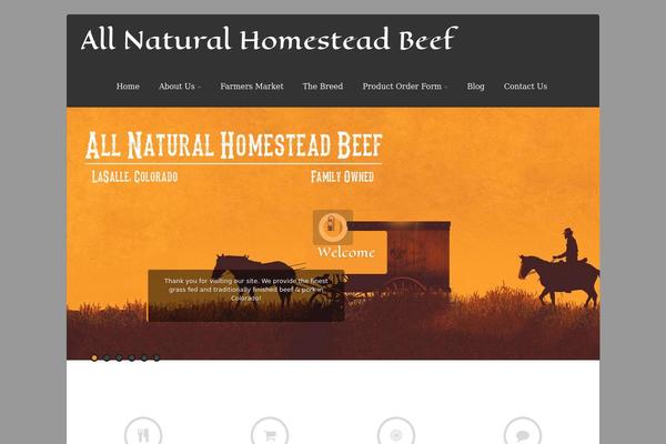 Asteria Lite theme site design template sample