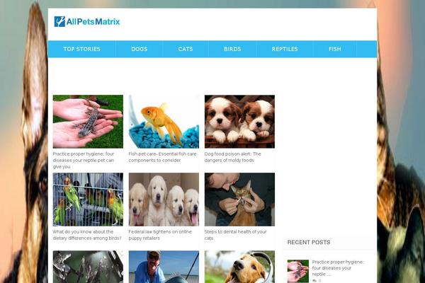 Site using Menufication plugin