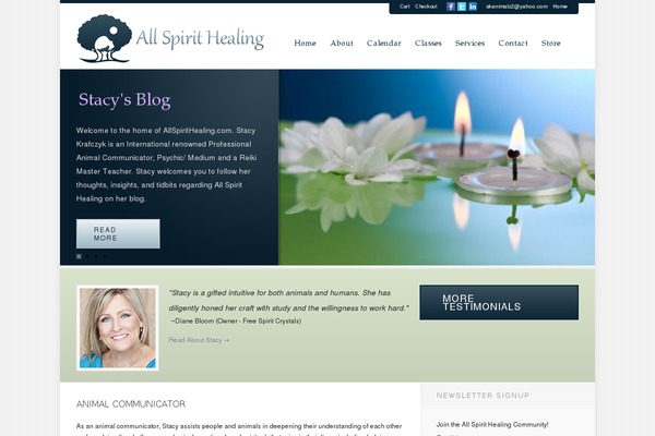 Echelon theme site design template sample