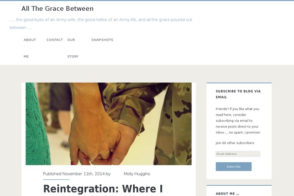Ignite Plus theme site design template sample