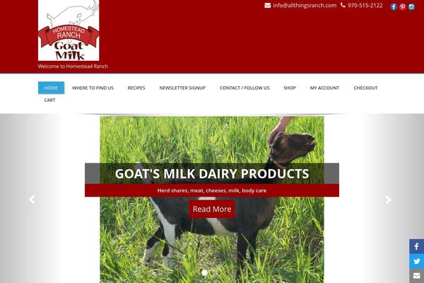 Enigma theme site design template sample