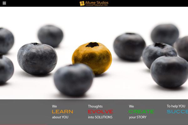 PhotoReactive theme site design template sample