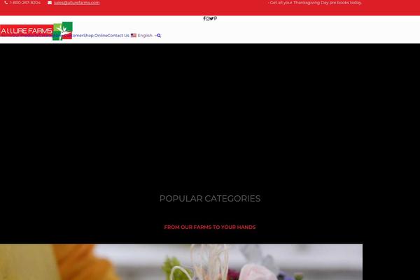 Site using Translatepress-developer plugin