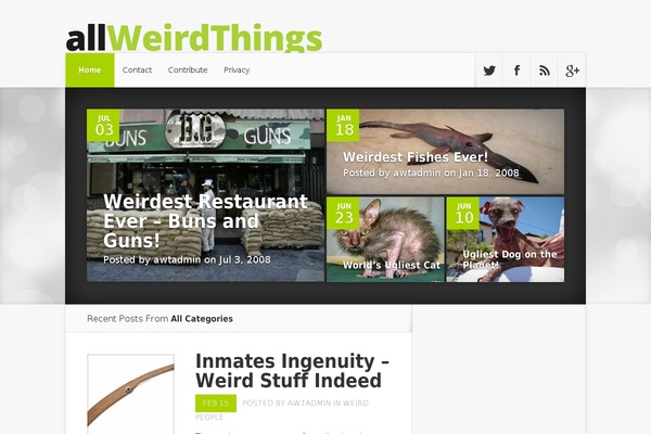 Nexus theme site design template sample