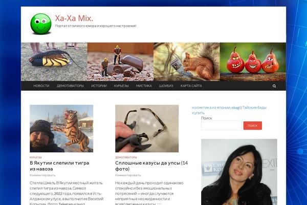 HitMag theme site design template sample