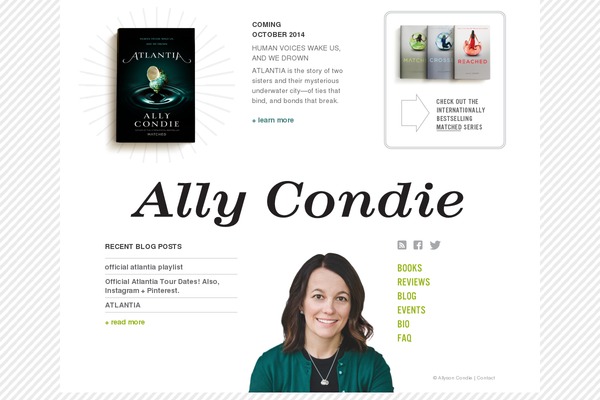 Ally theme site design template sample
