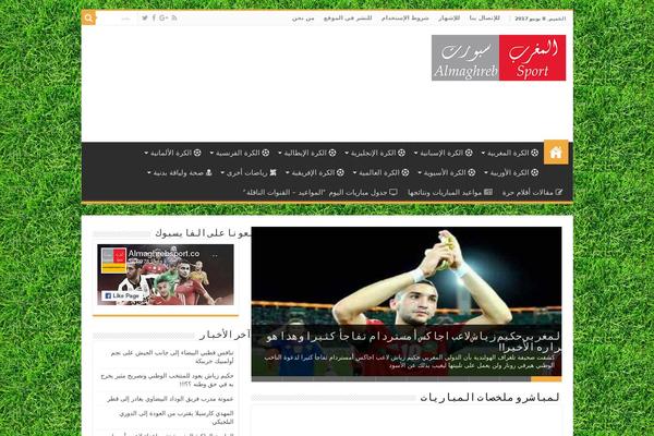Amnews theme site design template sample