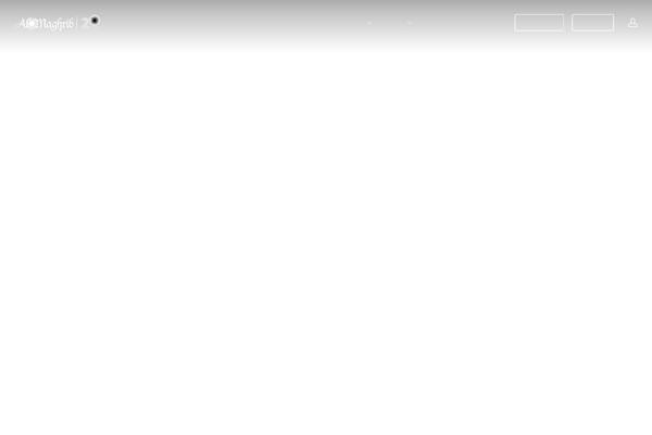 Site using Salient-portfolio plugin