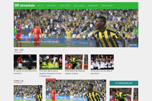 Absolute theme site design template sample