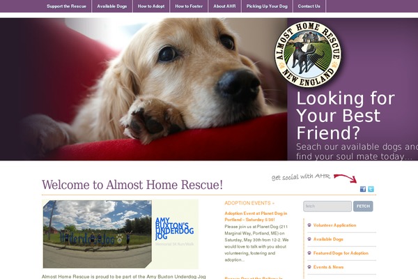 Academica theme site design template sample