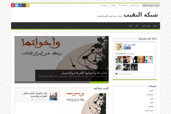 Bluewp theme websites examples