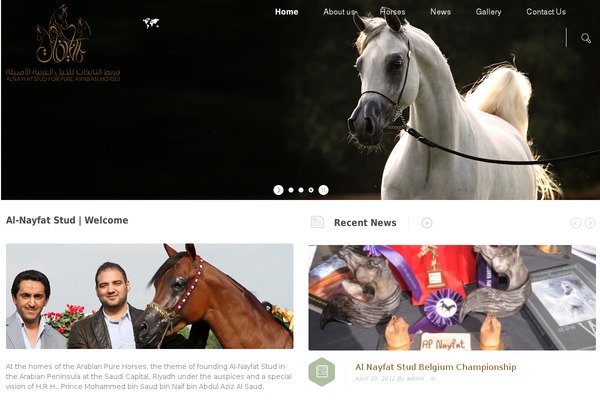 Glider theme site design template sample