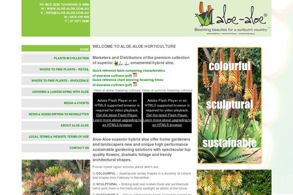 Shades theme site design template sample