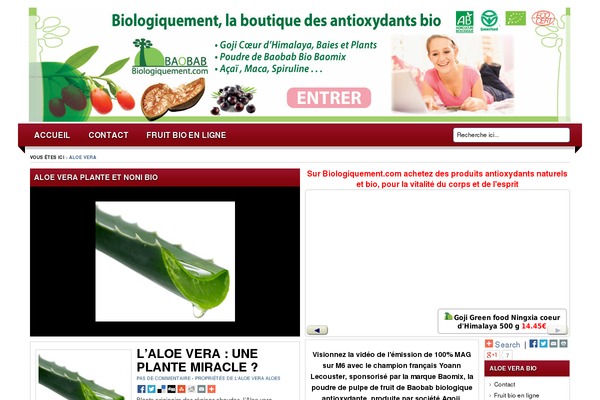 Lugada theme site design template sample