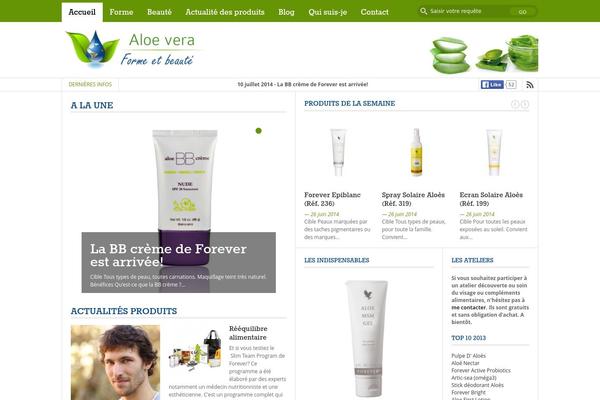 Fastnews theme site design template sample