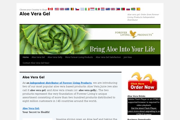 Twenty Ten theme site design template sample