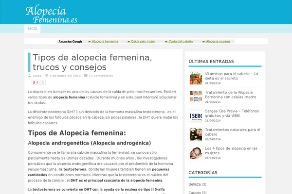 Sora theme site design template sample