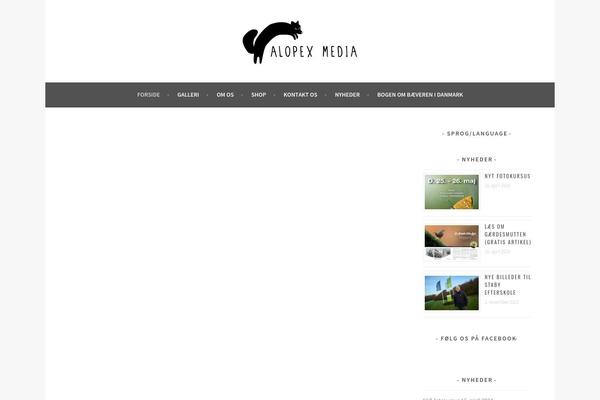 Site using Recent Posts Widget Extended plugin
