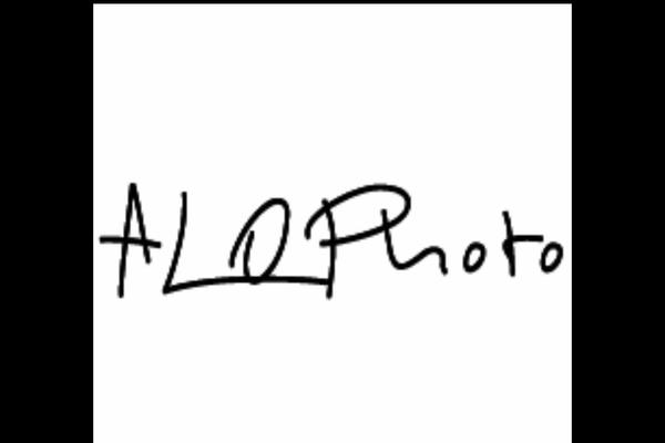 Neve theme site design template sample