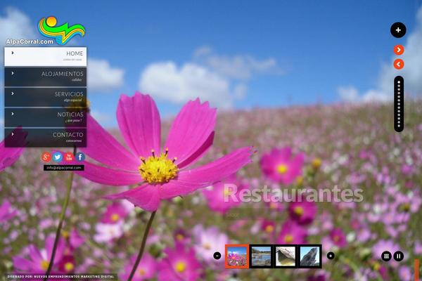 Kaleido theme site design template sample